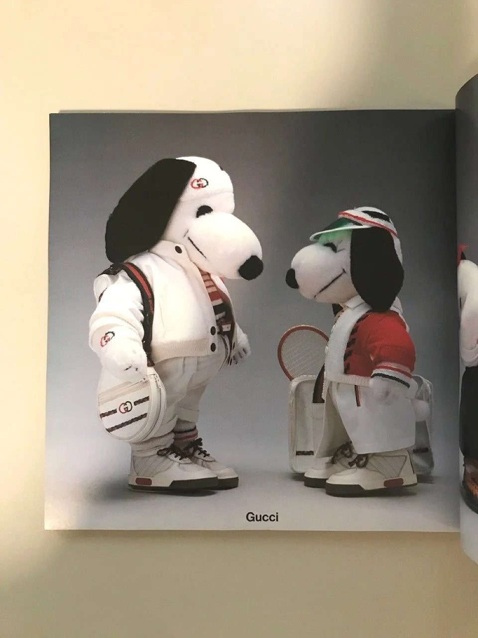 Snoopy in Fashion — Wrong Answer